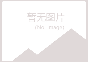 沈阳和平忆山工程有限公司